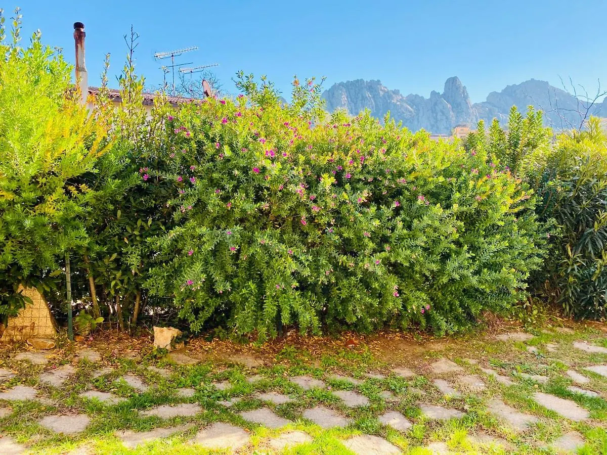The Sailor'S House Apartment San Pantaleo Italy